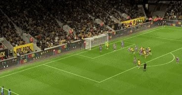 IMG_0092.gif